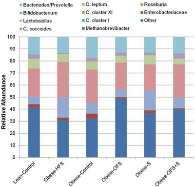 Preconception Prebiotic and Sitagliptin Treatment in Obese Rats Affects Pregnancy Outcomes and Offspring Microbiota, Adiposity, and Glycemia